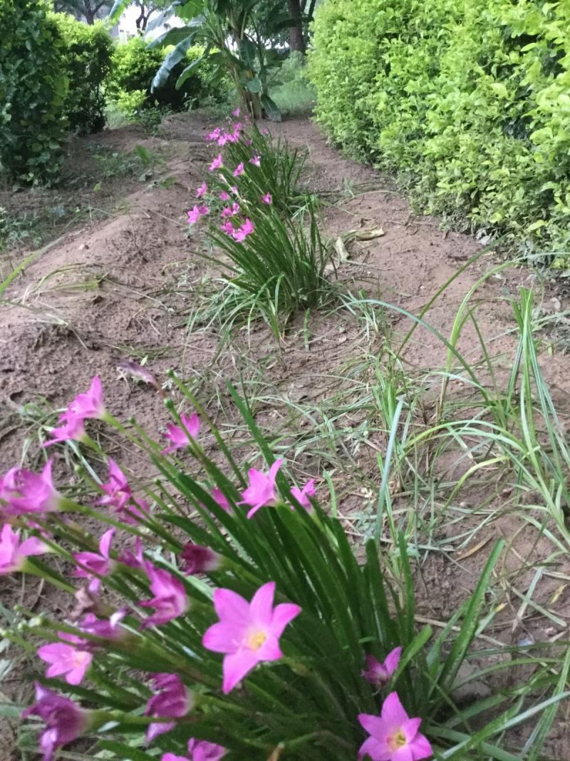 they only look like this after major rainfall 1200